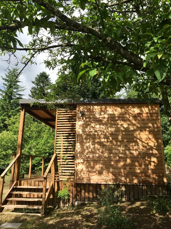 La Canopee 19 Lamaziere-Basse Dış mekan fotoğraf